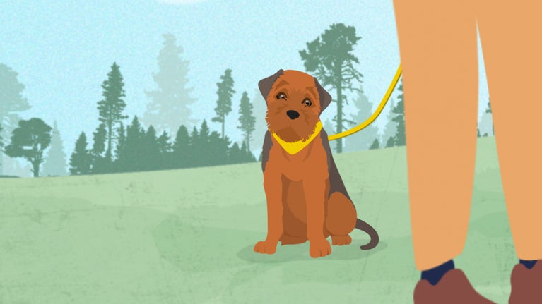 A still image taken from an animation depicting a dog feeling anxious, with its tail wrapped round close to its body.